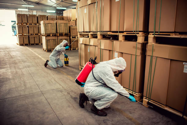 Best Pest Control Near Me in Valparaiso, IN