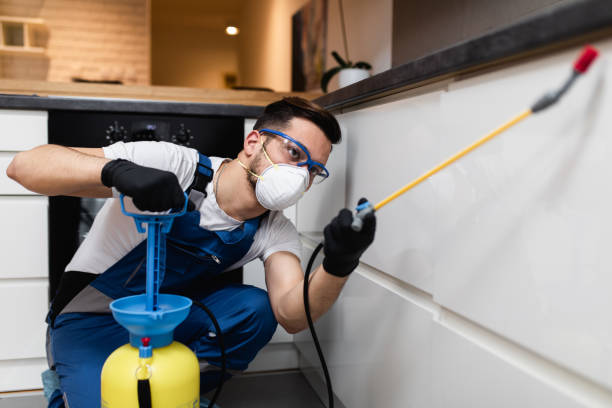 Best Wasp Removal Services  in Valparaiso, IN
