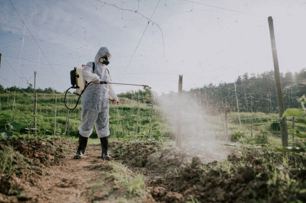 Best Ant Control Services  in Valparaiso, IN