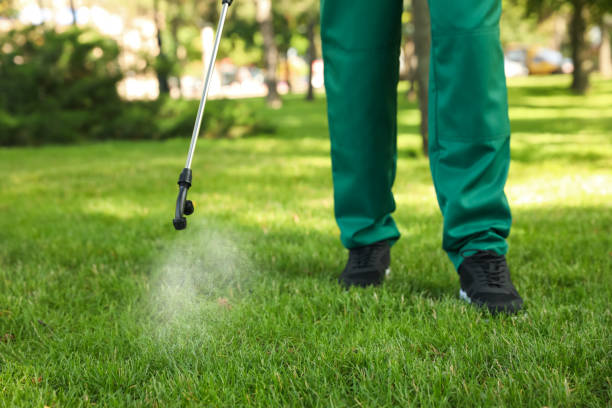 Best Rat Extermination Near Me  in Valparaiso, IN
